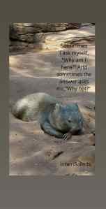 Image result for professional gif